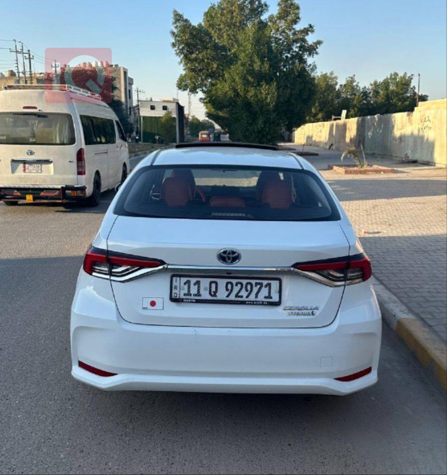 تويوتا كورولا